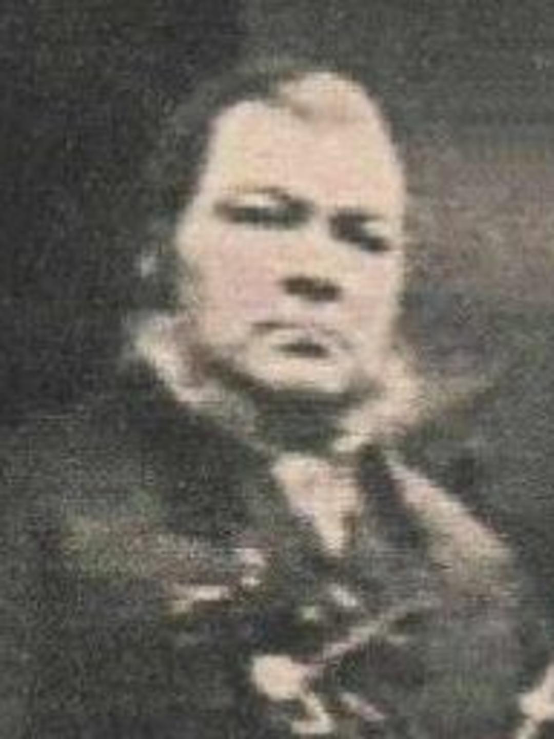 George Edwin Gibbs (1812 - 1878) Profile